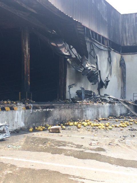 Adela Martínez-Cachá visita la nave hortofrutícola de Fuente Álamo destruida ayer por un incendio - 3, Foto 3