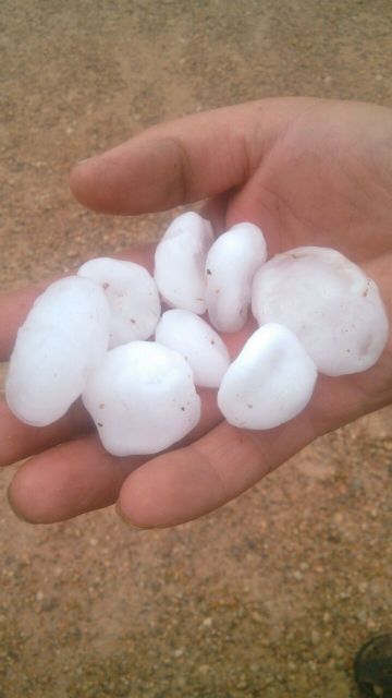 El pedrisco provoca la pérdida en el Altiplano de más de cuatro millones de kilos de producción - 1, Foto 1