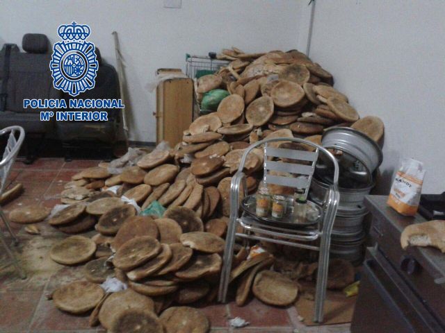 La Policía Nacional lucha contra la explotación laboral en la Región - 3, Foto 3