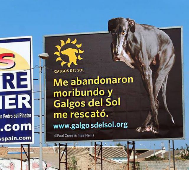 Galgos del Sol construirá un Centro de Protección y Guarda de Galgos en El Mirador - 3, Foto 3