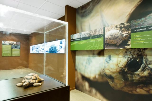 El Ayuntamiento pone en marcha un nuevo programa para impulsar el fomento del turismo rural en el municipio - 1, Foto 1