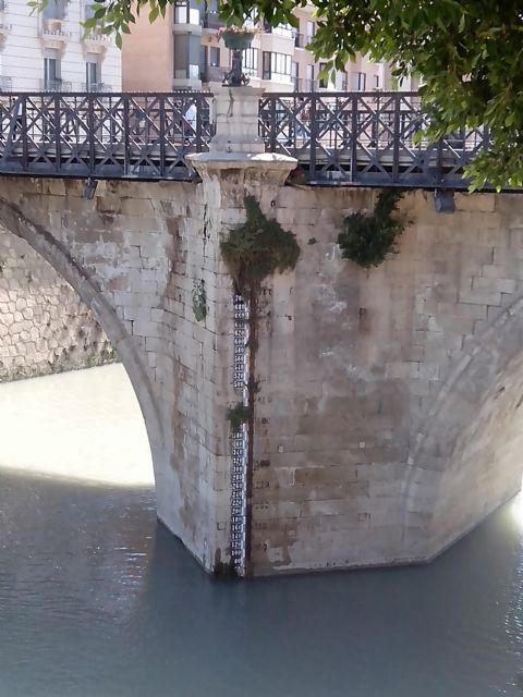 Ahora Murcia exige garantías de que la calidad del Segura es apta para realizar actividades acuáticas - 4, Foto 4