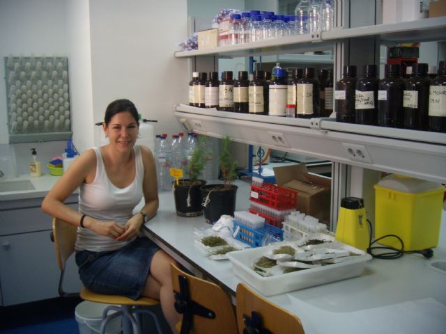 La UPCT demuestra la idoneidad del pino carrasco y el ciprés para revegetar suelos mineros contaminados - 1, Foto 1