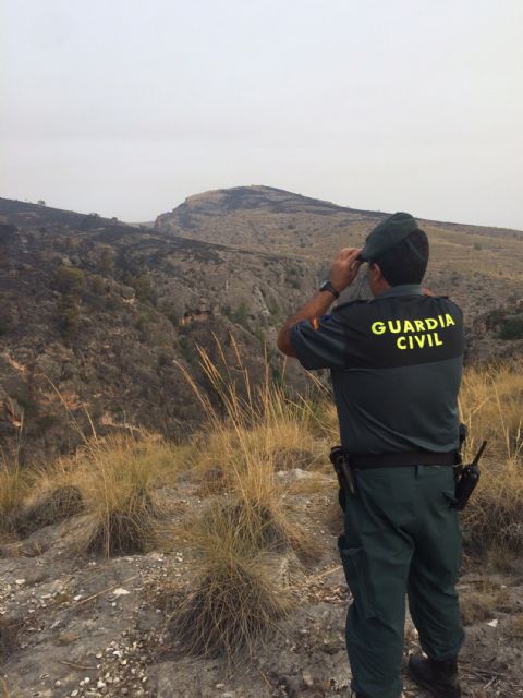 La Guardia Civil participa en la extinción de los incendios de Lorca y Cieza - 2, Foto 2