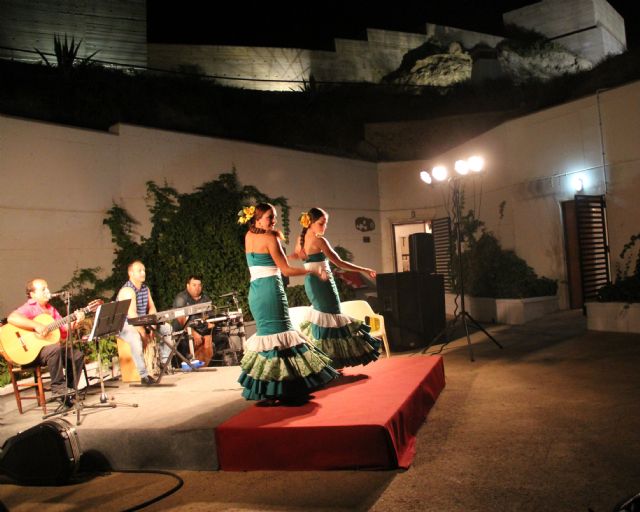 Espectáculo de flamenco en las cuevas del Castillo de Nogalte - 1, Foto 1