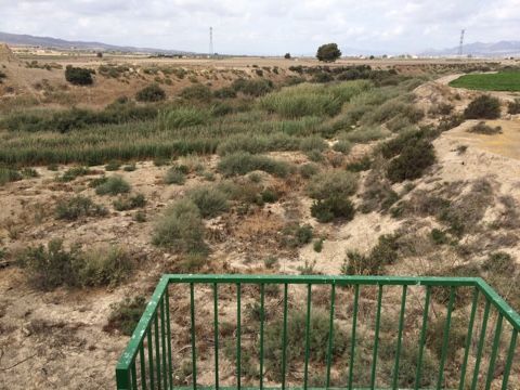 El alcalde advierte del peligro que existe de inundación en el núcleo rural de Las Ventas y el Camino Real por una embocadura abierta en el Canal de El Paretón si la CHS no toma medidas, Foto 8
