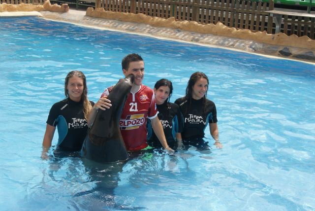 Dario Marinovic la perla croata: ElPozo es el Club perfecto - 1, Foto 1