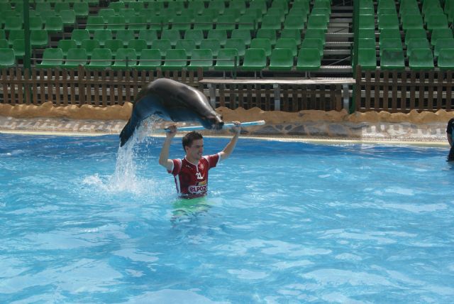Dario Marinovic la perla croata: ElPozo es el Club perfecto - 2, Foto 2