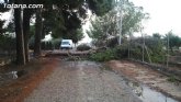 Bomberos intervienen para retirar una rama de un árbol de grandes dimensiones, que estaba cortando una carretera