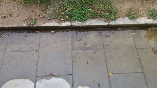 El PSOE denuncia el estado de dejadez y abandono de las zonas verdes de barrios y pedanías del municipio de Murcia - 5, Foto 5