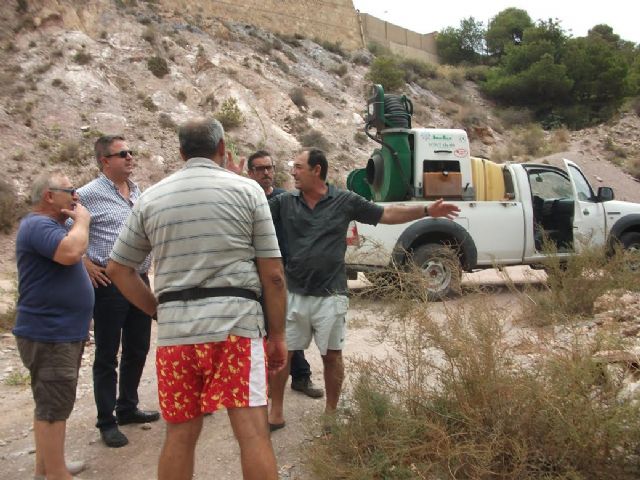 El Ayuntamiento pone remedio a la proliferación de mosquitos tigre en la Algameca Chica - 1, Foto 1