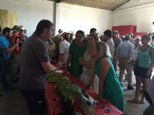 La Región de Murcia es referente en el cultivo de uva sin semilla para investigadores de todo el mundo - 1, Foto 1