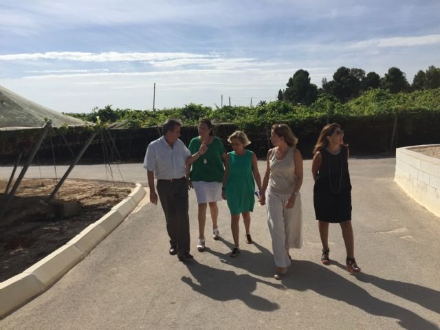 La Región de Murcia es referente en el cultivo de uva sin semilla para investigadores de todo el mundo - 2, Foto 2