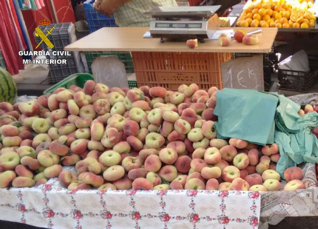 La Guardia Civil desmantela un grupo delictivo dedicado a la sustracción de fruta, en Cieza - 2, Foto 2