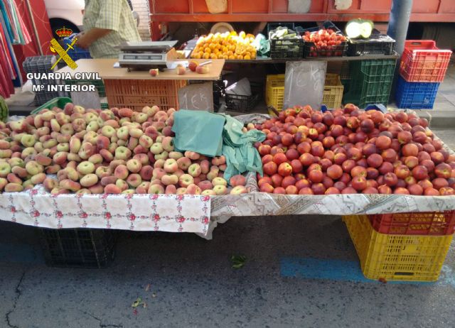 La Guardia Civil desmantela un grupo delictivo dedicado a la sustracción de fruta, en Cieza - 4, Foto 4