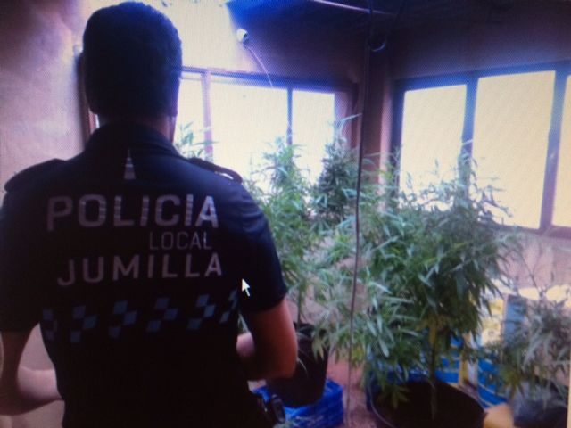 La Policía Local interviene tres kilos de marihuana en una plantación casera - 1, Foto 1
