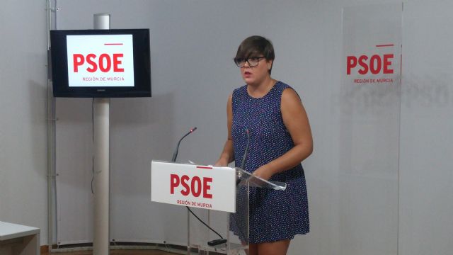 El PSOE exige al Gobierno Regional que implante de forma total el sistema de Garantía Juvenil y que informe del número de beneficiados en la Región - 1, Foto 1