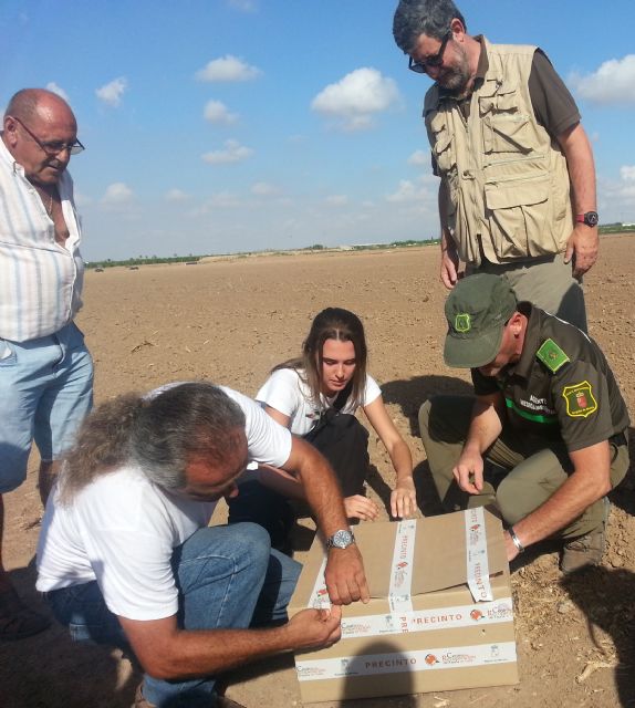 La Comunidad y Anse liberan dos ejemplares de canastera nacidas en cautividad - 1, Foto 1