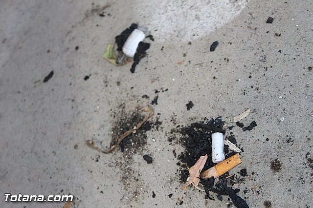 Denuncian actos vandlicos en el Colegio Tierno Galvn y otros - 17