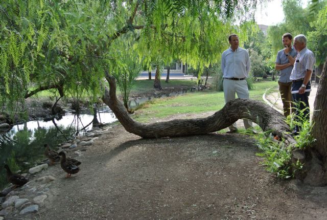 El Ayuntamiento multiplica los trabajos en parques y jardines durante los meses estivales - 4, Foto 4