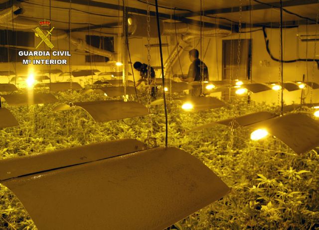 La Guardia Civil desmantela una plantación indoor con medio millar de plantas de marihuana, Foto 1