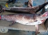 La Guardia Civil sorprende a un pescador con dos peces espada capturados ilcitamente en Mazarrn