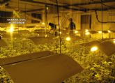 La Guardia Civil desmantela una plantaci�n indoor con medio millar de plantas de marihuana