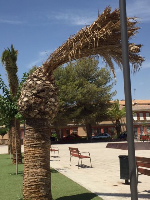 El PSOE de Lorca propone la creación de brigadas de mantenimiento de parques, jardines y otros servicios del municipio - 1, Foto 1