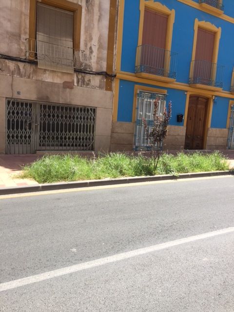 El PSOE de Lorca propone la creación de brigadas de mantenimiento de parques, jardines y otros servicios del municipio - 3, Foto 3