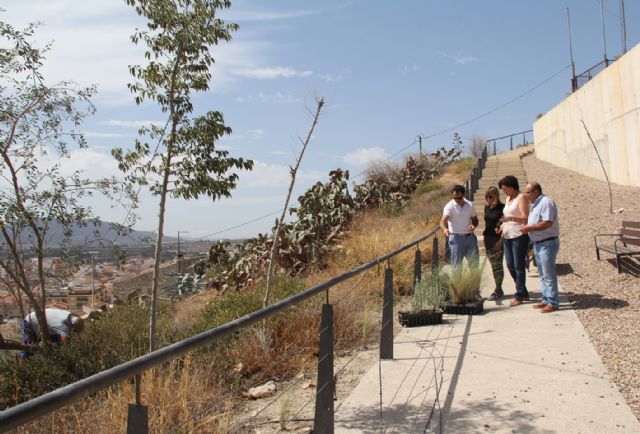 El Ayuntamiento restaura el patrimonio natural de la ladera sur del Castillo de Nogalte - 2, Foto 2