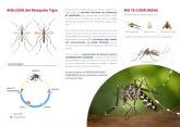 Una ordenanza municipal informa sobre cómo prevenir la incidencia del mosquito tigre