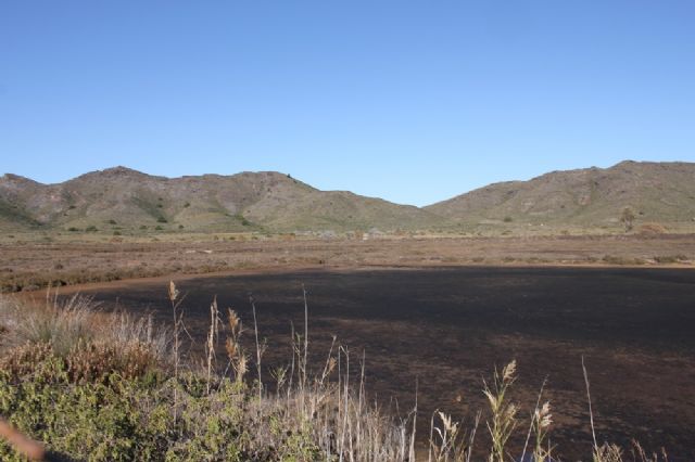 Denuncian la desaparición del fartet en Calblanque por el abandono de las Salinas del Rasall - 4, Foto 4