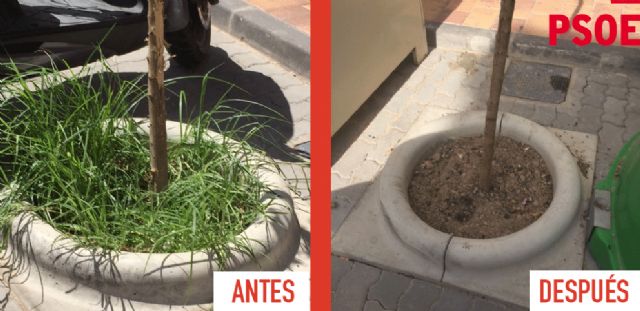 El PSOE celebra que tras sus denuncias el Equipo de Gobierno del PP reaccione y se ponga a trabajar - 2, Foto 2