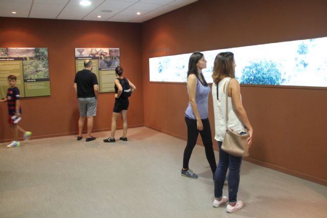 Más de 1.000 personas participan en la campaña veraniega de turismo rural Conoce las estrellas - 1, Foto 1