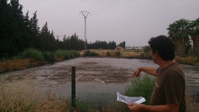 Ahora Murcia denuncia al Seprona tres vertederos ilegales del matadero municipal - 1, Foto 1