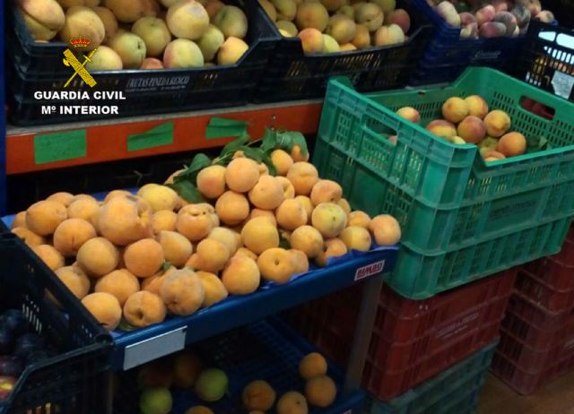 La Guardia Civil detiene a cuatro personas por la sustracción de fruta y herramientas en fincas agrícolas - 1, Foto 1