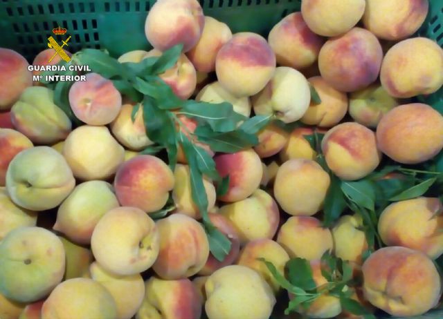 La Guardia Civil detiene a cuatro personas por la sustracción de fruta y herramientas en fincas agrícolas - 2, Foto 2