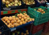 La Guardia Civil detiene a cuatro personas por la sustraccin de fruta y herramientas en fincas agrcolas