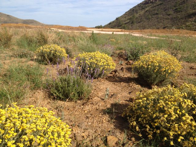 Utilizan deyecciones porcinas y residuos de la industria del mármol para rehabilitar espacios degradados - 2, Foto 2