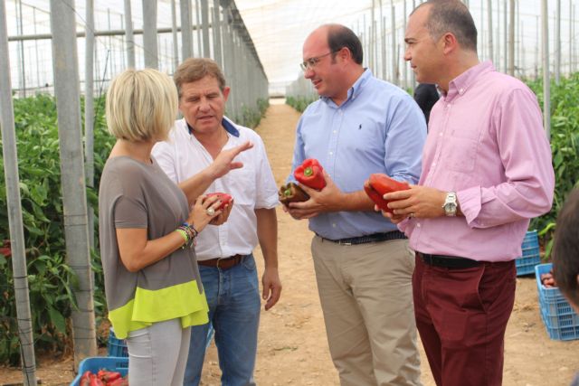 Pedro Antonio Sánchez: El compromiso de Rajoy debe dar seguridad y tranquilidad a los agricultores - 2, Foto 2