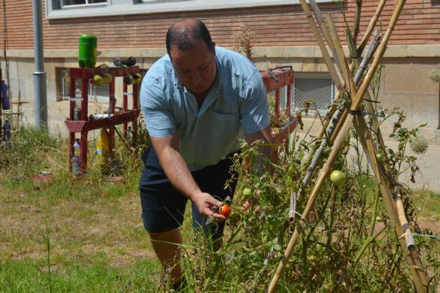 Un curso de verano de la Politécnica enseña este mes cómo cultivar espacios reducidos - 1, Foto 1