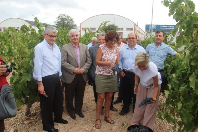 La consejera Adela Martínez-Cachá visita BSI y se reúne con la alcaldesa - 3, Foto 3