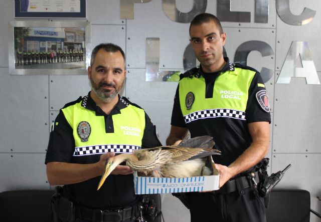 La Policía Local de Puerto Lumbreras rescata una garza imperial - 1, Foto 1