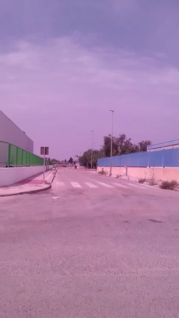 El PP denuncia el estado de abandono de los jardines y falta de limpieza general que sufre el Polígono Industrial de Totana - 2, Foto 2