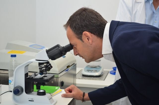 El Info ayuda a reducir a la mitad los trámites de constitución de una decena de empresas que generarán más de 550 empleos - 1, Foto 1