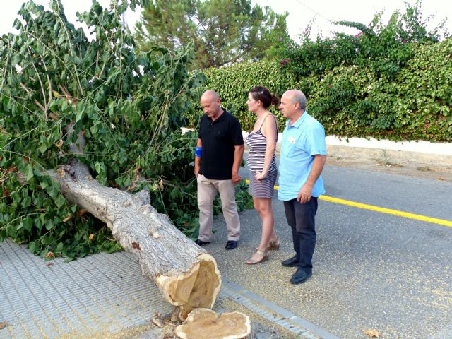 Izquierda Unida afirma que las obras de la Ronda Sur se están haciendo sin el preceptivo informe de la Confederación Hidrográfica del Segura - 1, Foto 1
