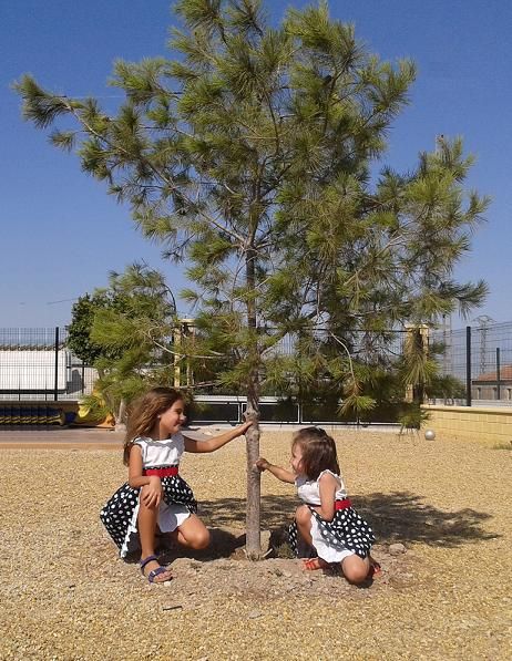 C´s diseña un plan para el fomento del arbolado autóctono en Lorca - 1, Foto 1