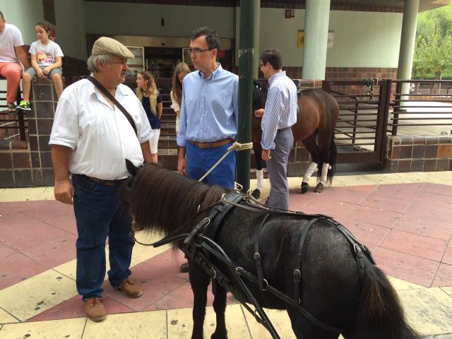 El Alcalde anuncia que Murcia tendrá en 2016 una Feria de Ganado renovada - 2, Foto 2