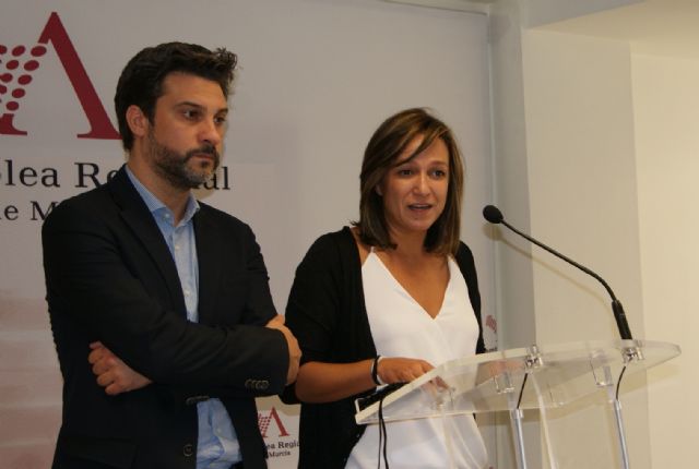 PSOE, Podemos y Ciudadanos logran que la Asamblea debata una moción conjunta sobre el soterramiento del AVE - 1, Foto 1