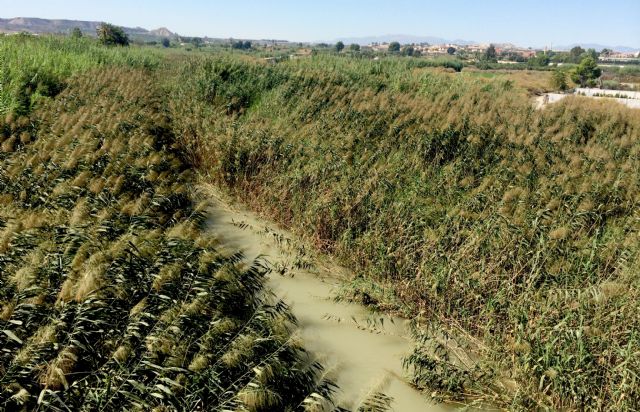 El Equipo de Gobierno traslada al Grupo Parlamentario Socialista las necesidades de Lorquí - 3, Foto 3